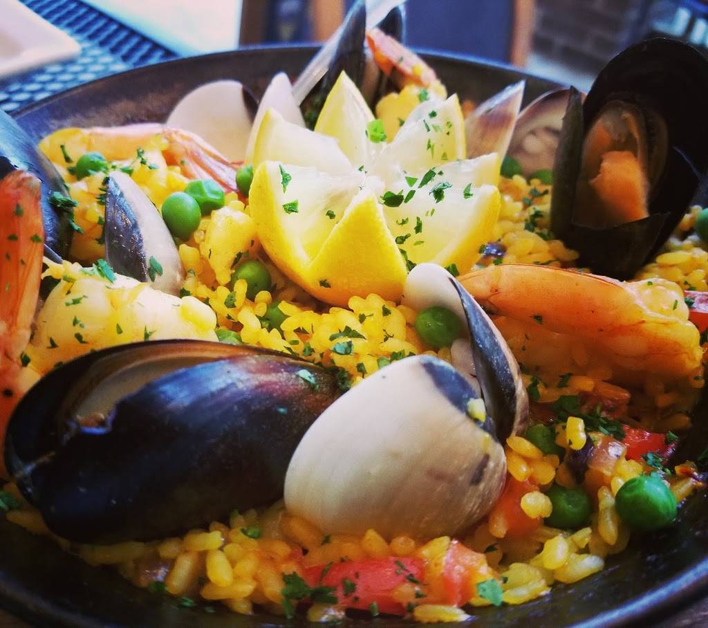 Terra Sur Cafe | cafe | 5358 W Village Dr, Tampa, FL 33624, USA | 8132692694 OR +1 813-269-2694