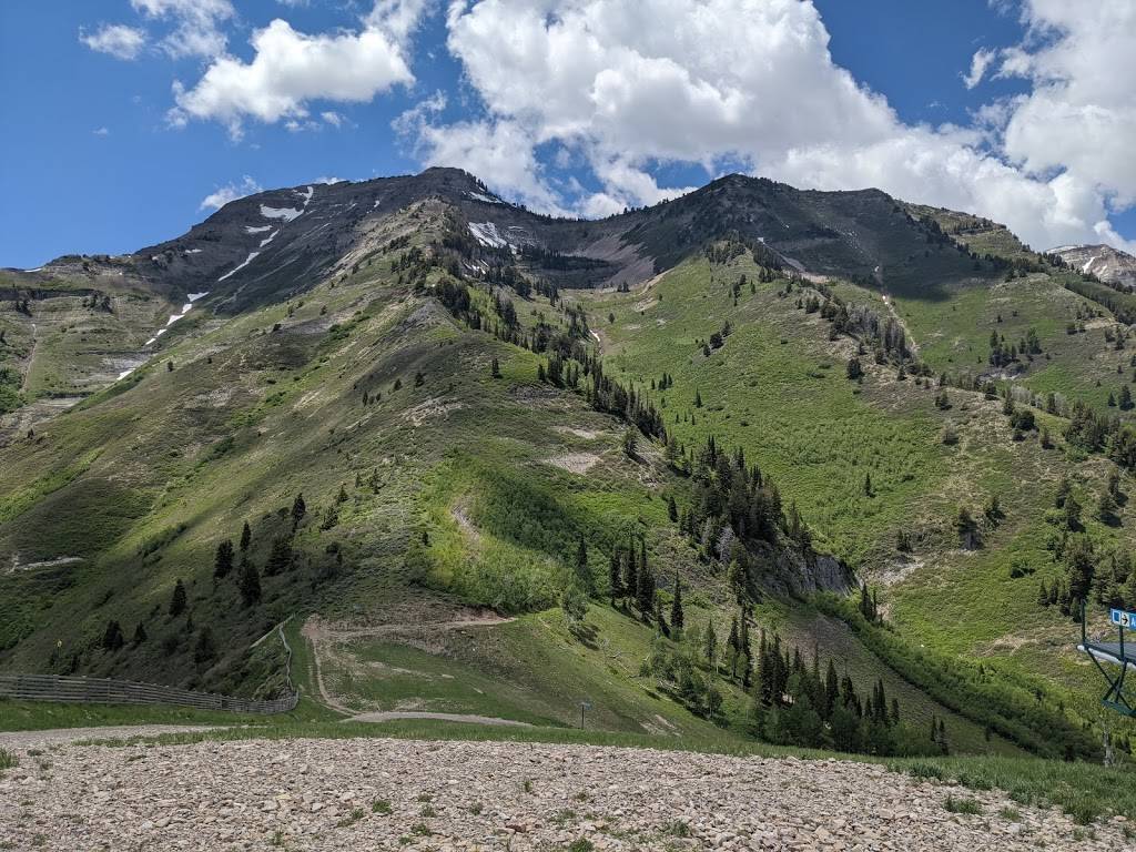 Bearclaw Cabin | restaurant | 8841 N Alpine Loop Scenic Byway, Sundance, UT 84604, USA | 8012234157 OR +1 801-223-4157