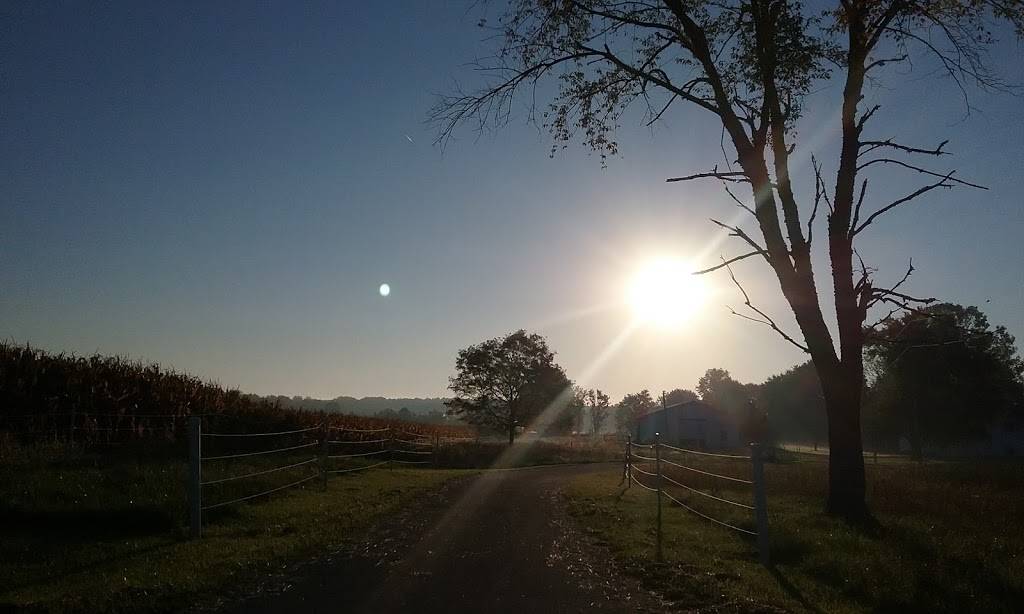 Burbach Concessions | restaurant | 6850 OH-534, West Farmington, OH 44491, USA | 3308892171 OR +1 330-889-2171