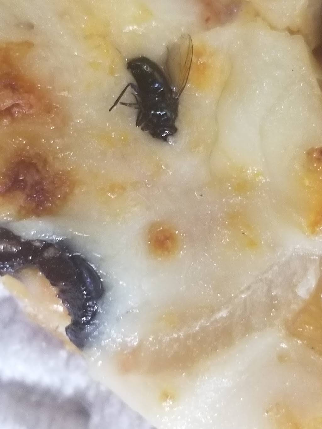 Dominos Pizza | meal delivery | 39506 N, W Daisy Mountain Dr, Phoenix, AZ 85086, USA | 6235511515 OR +1 623-551-1515