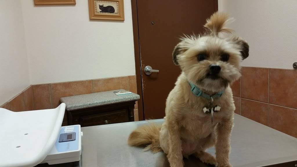 Corral Hollow | shopping mall | 1801-1975 W 11th St, Tracy, CA 95376, USA | 9252791800 OR +1 925-279-1800