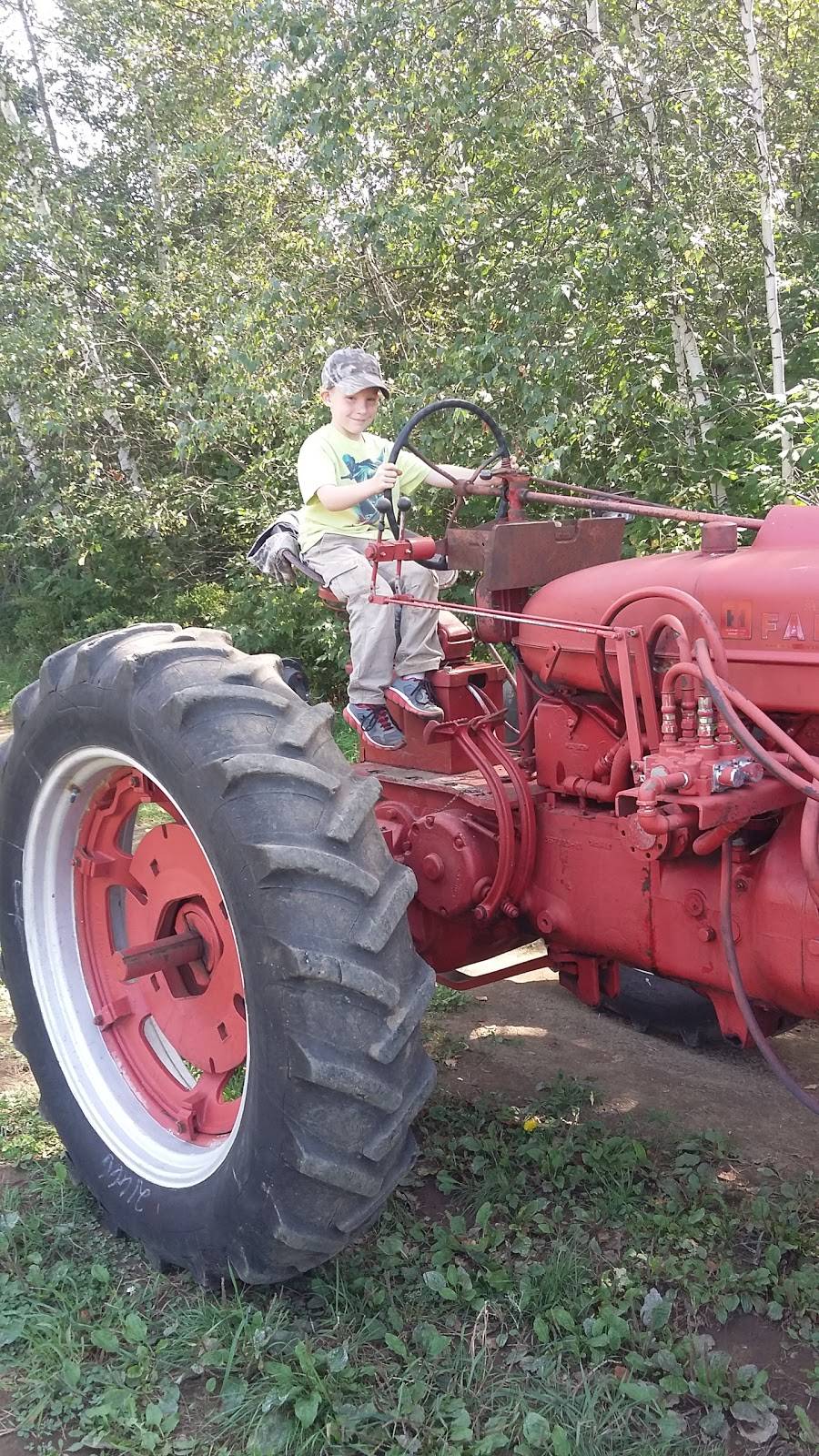 The General Store & More | restaurant | 1497 Main Rd #3507, Brownville, ME 04414, USA | 2079658100 OR +1 207-965-8100