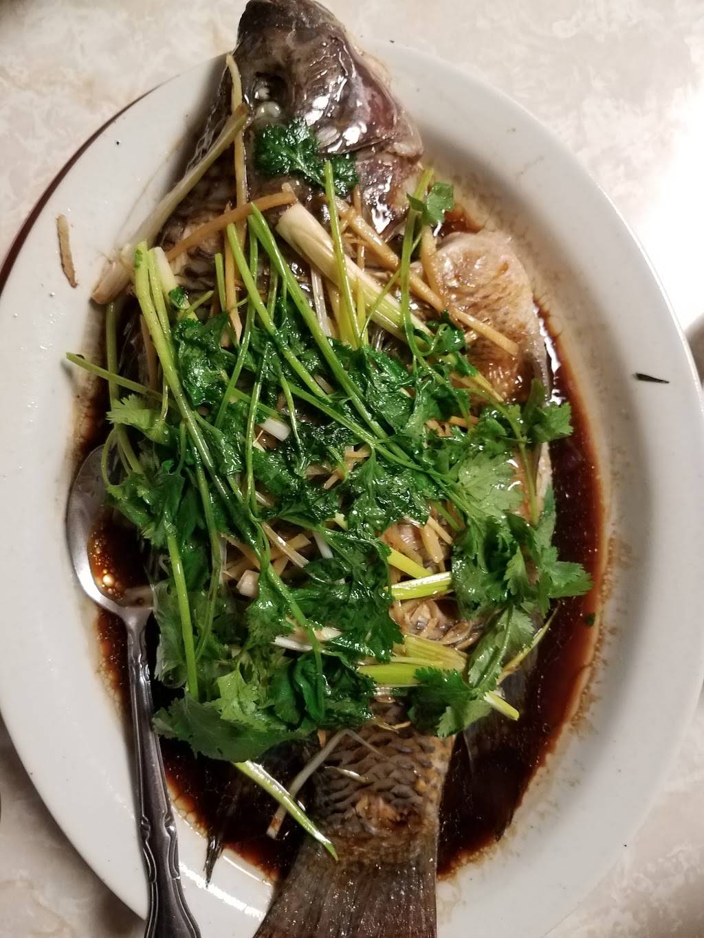 Fung Wah Restaurant | restaurant | 7007 Mission St, Daly City, CA 94014, USA | 6507569957 OR +1 650-756-9957