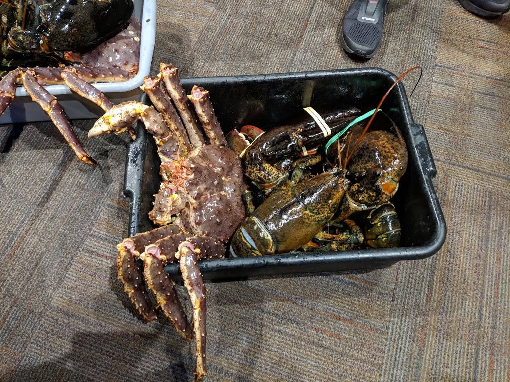 Fishman Lobster Clubhouse | restaurant | 4020 Finch Ave E, Scarborough, ON M1S 3T6, Canada | 4163210250 OR +1 416-321-0250