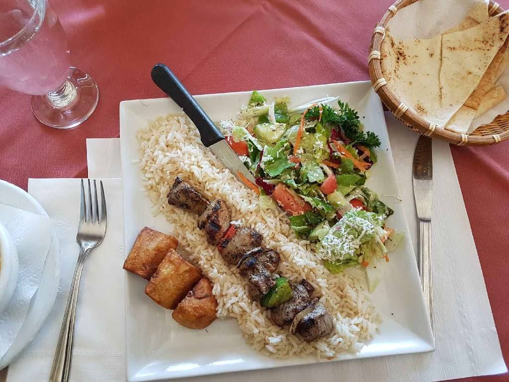 Little Turkish Village Dining Lounge | restaurant | 2095 St Joseph Blvd, Orléans, ON K1C 1C5, Canada | 6138245557 OR +1 613-824-5557