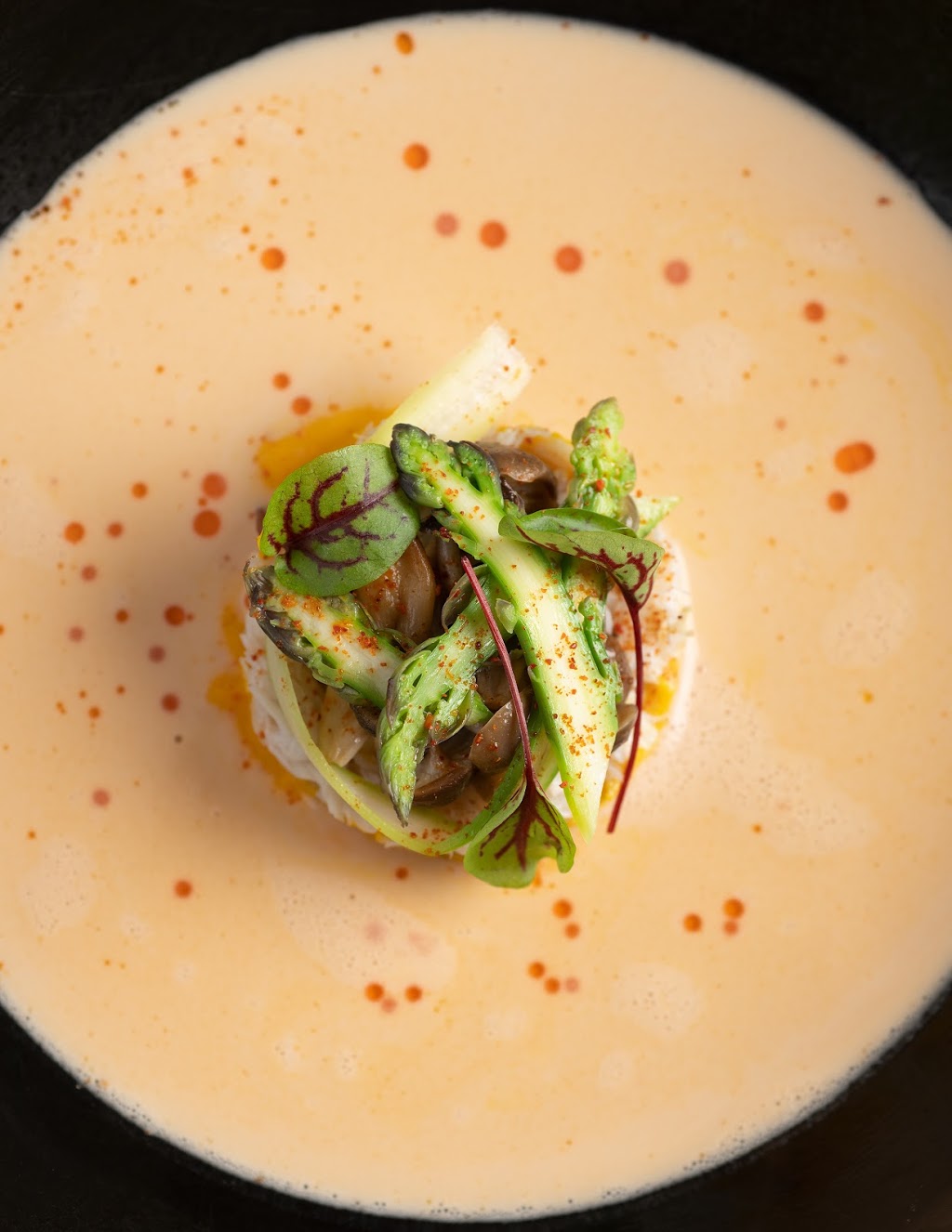 Ocean Restaurant | restaurant | 208 Ocean Ave, Kennebunkport, ME 04046, USA | 2079672125 OR +1 207-967-2125