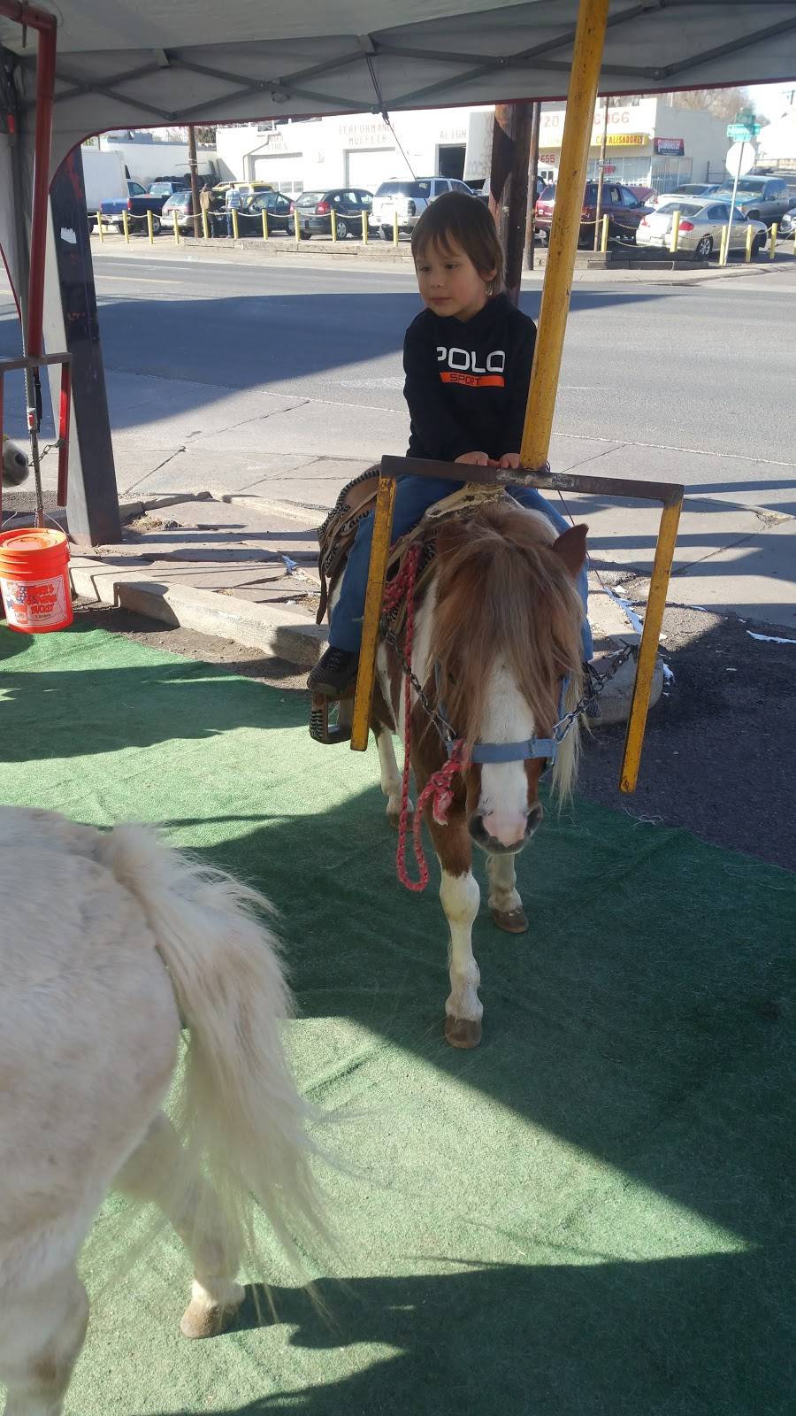 Los Gallitos Taqueria | restaurant | 2630 W Alameda Ave, Denver, CO 80219, USA | 3039550175 OR +1 303-955-0175