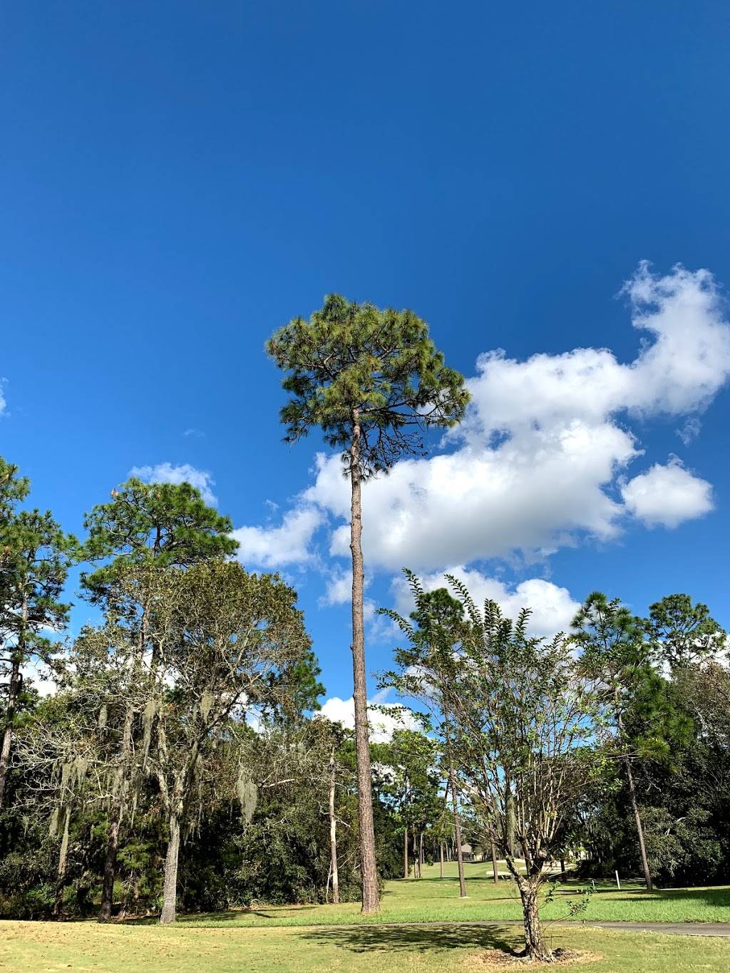 Victoria Hills Golf Club | restaurant | 300 Spalding Way, DeLand, FL 32724, USA | 3867386000 OR +1 386-738-6000