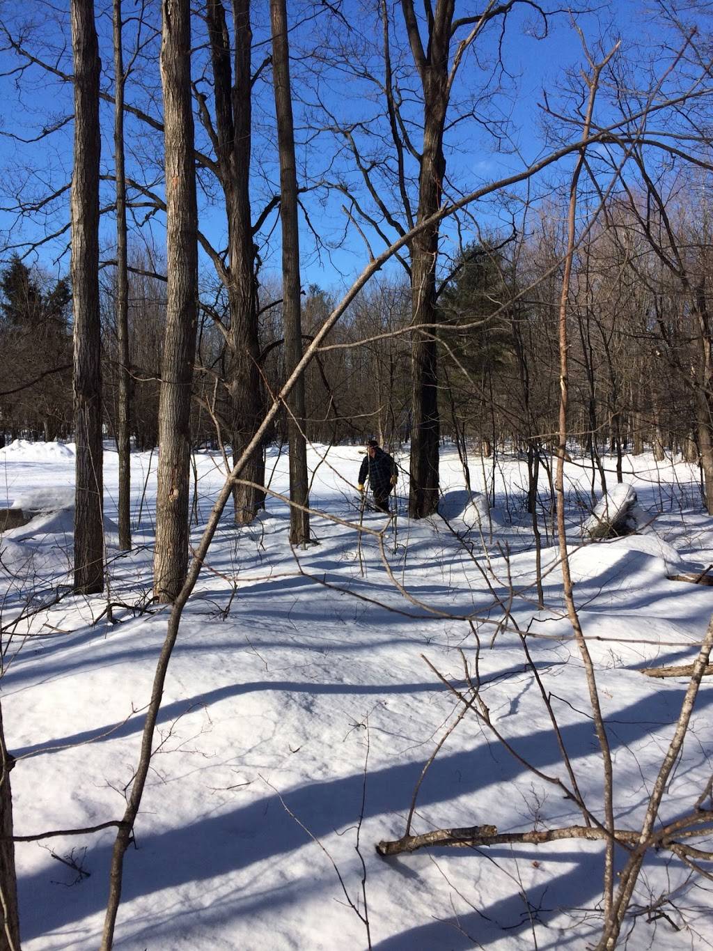 Greenlane Maple | restaurant | 2875 Greenlane east, East Hawkesbury, ON K6A 2R2, Canada | 6136764035 OR +1 613-676-4035