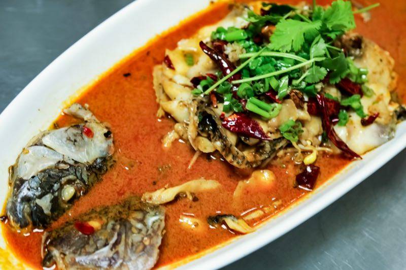 Revolution chinese 羅村川菜馆 | restaurant | 400 Jefferson Rd, Rochester, NY 14623, USA | 5855002300 OR +1 585-500-2300