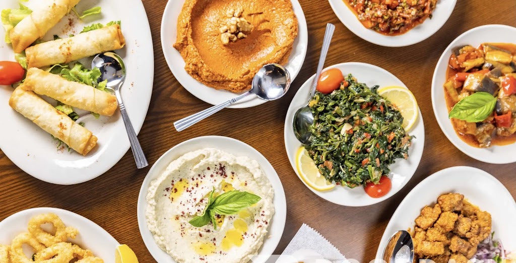 Salt mediterranean restaurant | restaurant | 1123 1st Ave., New York, NY 10065, USA | 9172614443 OR +1 917-261-4443