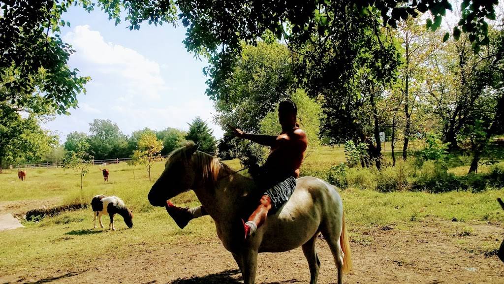 El Azteca Mexican Restaurant | restaurant | 441 S Brady St, Claremore, OK 74017, USA | 9183422401 OR +1 918-342-2401