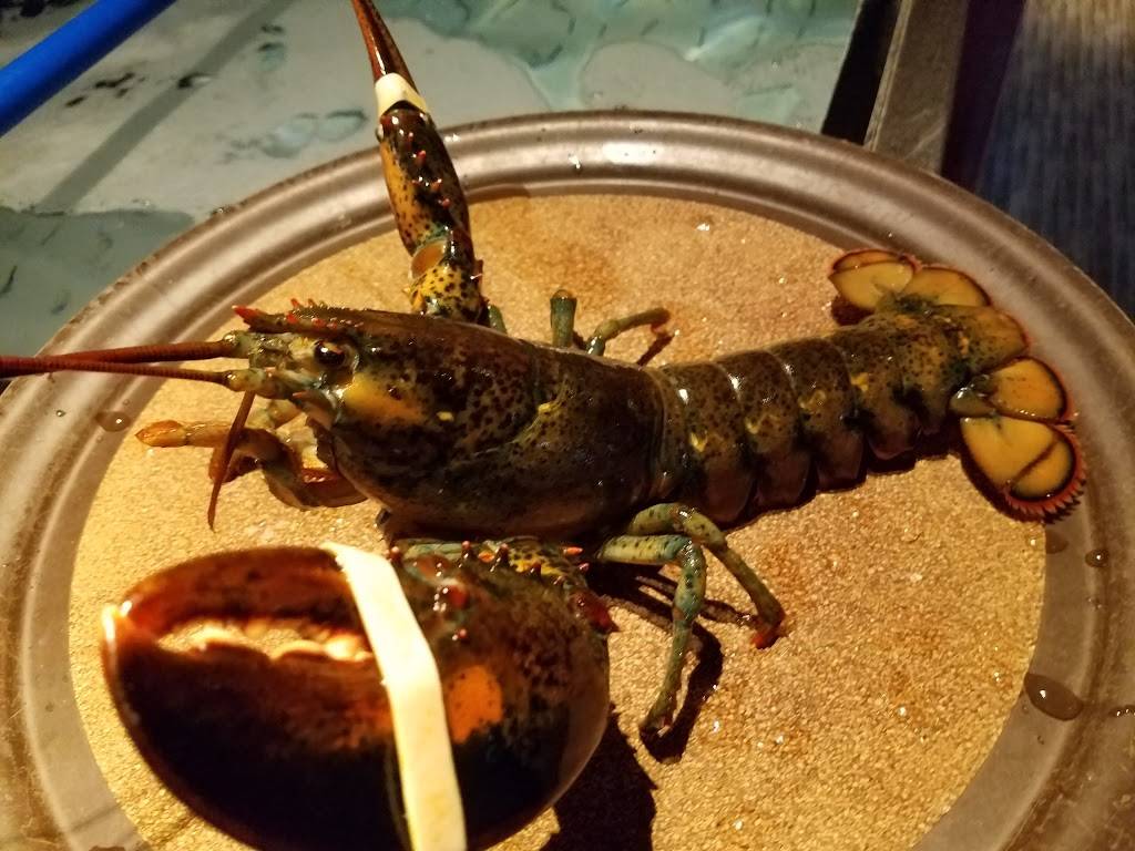 Red Lobster | restaurant | 2944 Interstate 45 N, Conroe, TX 77303, USA | 9367567391 OR +1 936-756-7391