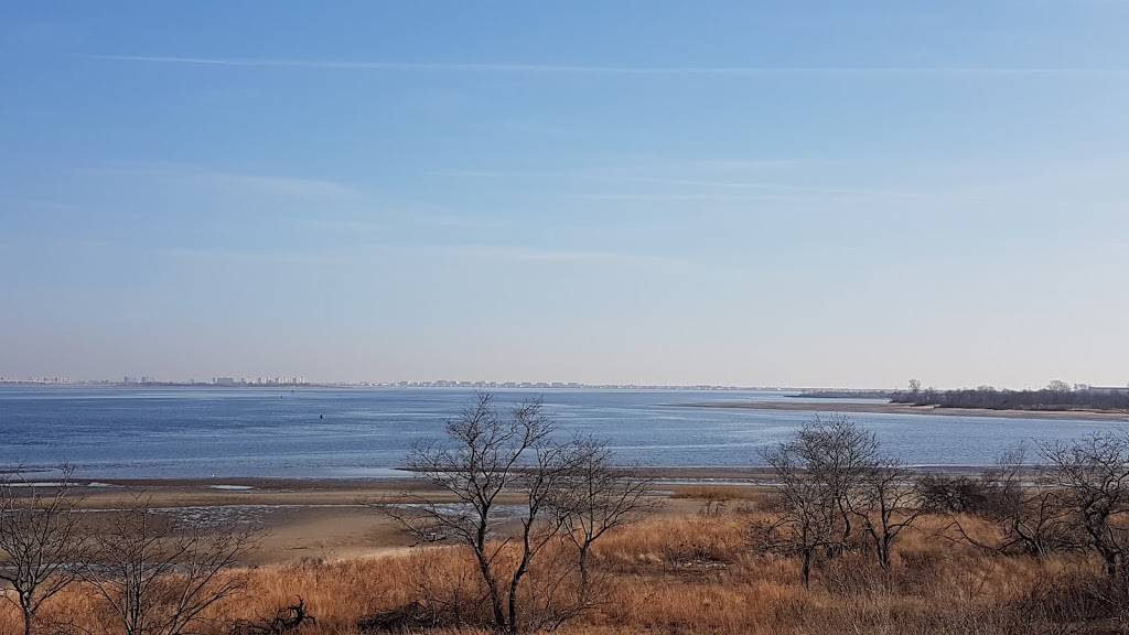 Master Wok | restaurant | 5100 Kings Plaza, Brooklyn, NY 11234, USA | 7182536842 OR +1 718-253-6842