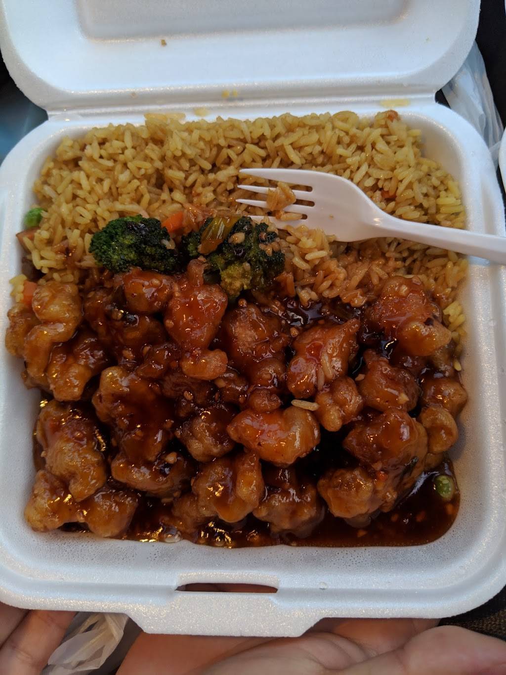 China Wok 1 | restaurant | 2509 Crill Ave #500, Palatka, FL 32177, USA | 3863257001 OR +1 386-325-7001