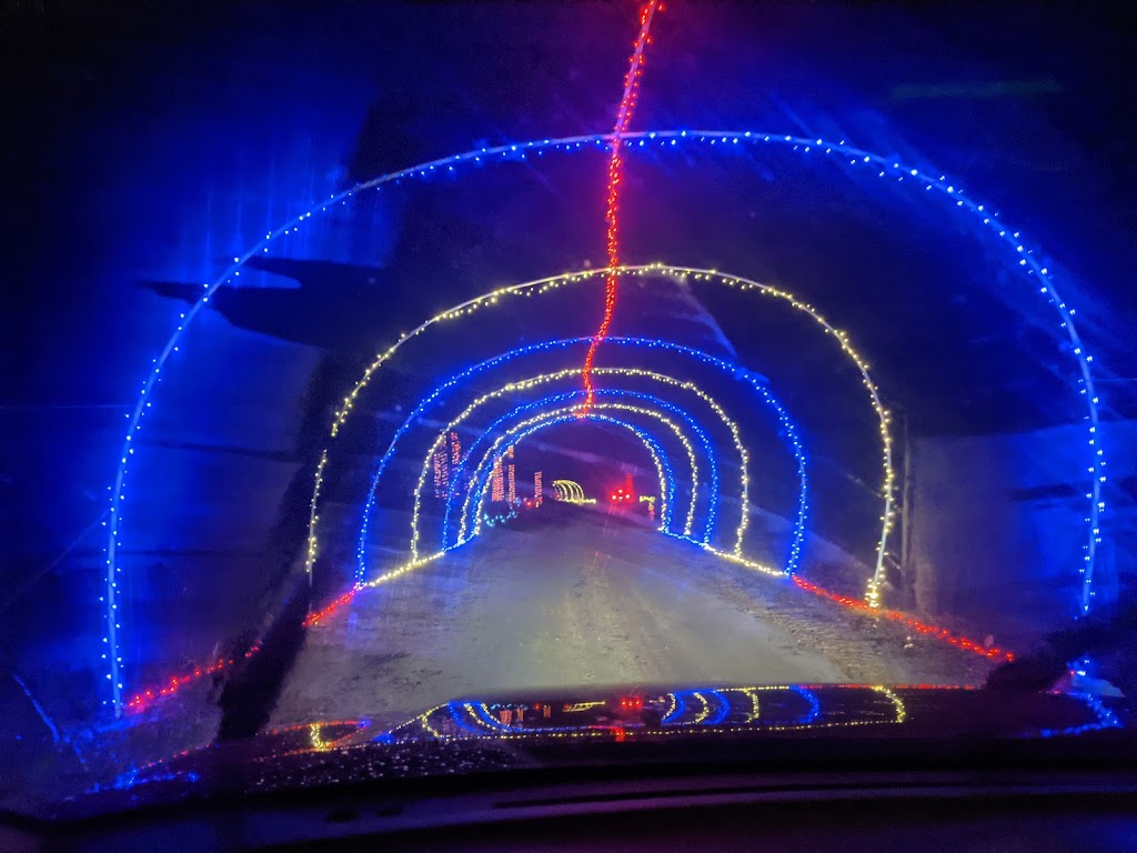 Bama Slam Saloon | restaurant | Co Rd 156, New Brockton, AL 36351, USA | 8779077687 OR +1 877-907-7687