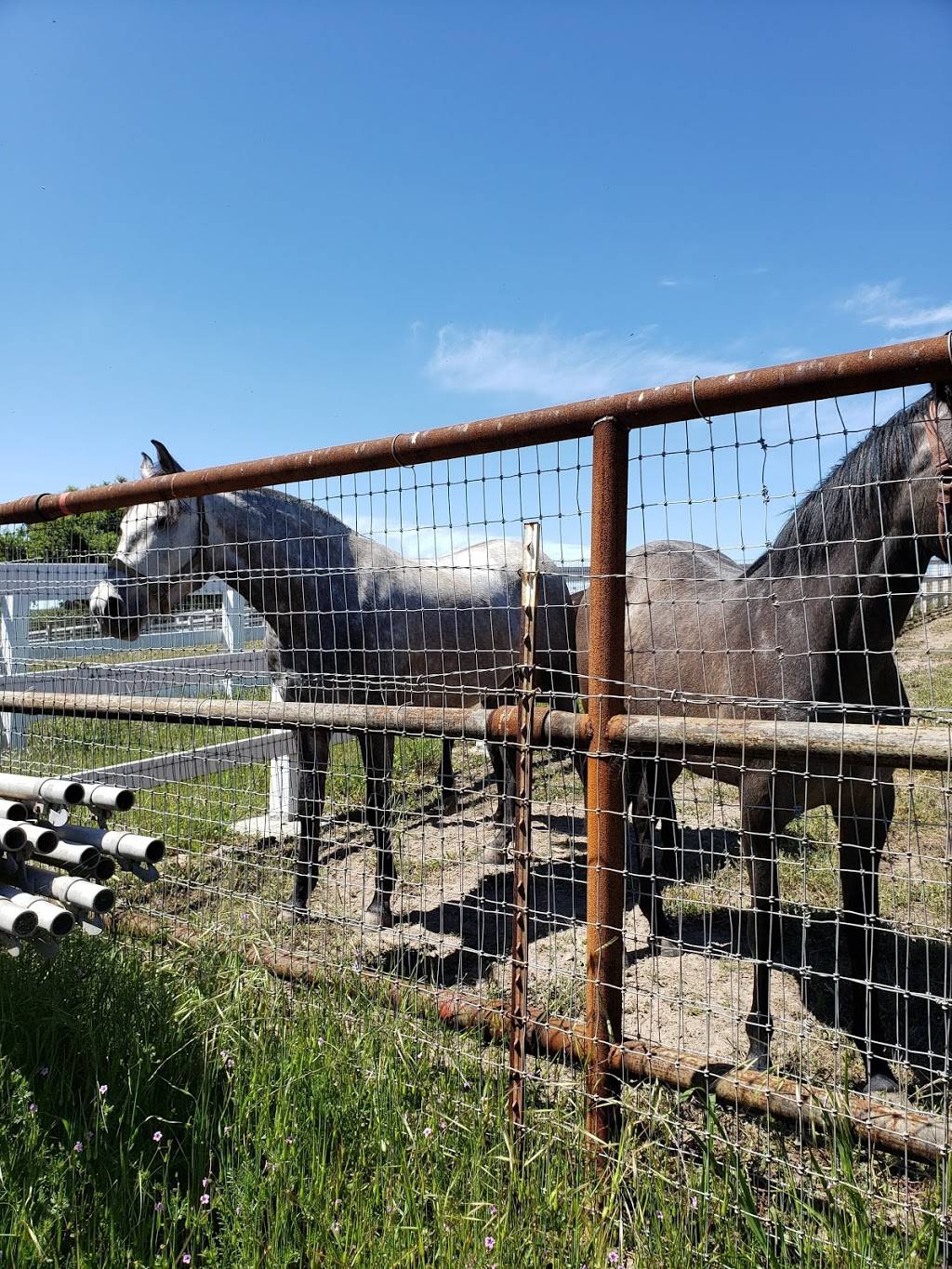 La Purisima Golf Course | restaurant | 3455 CA-246, Lompoc, CA 93436, USA | 8057358395 OR +1 805-735-8395