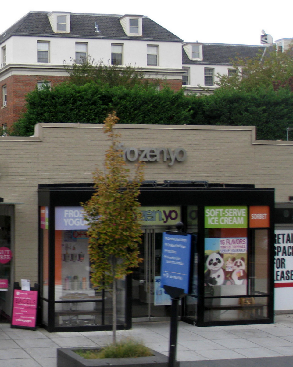 FroZenYo | restaurant | 3000 Connecticut Ave NW, Washington, DC 20008, USA | 2022324222 OR +1 202-232-4222
