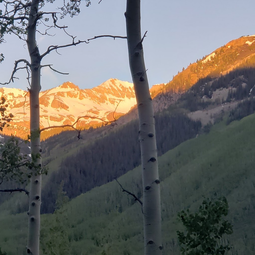 Timbos Pizza | restaurant | 23258 Two Rivers Rd, Basalt, CO 81621, USA | 9709273556 OR +1 970-927-3556