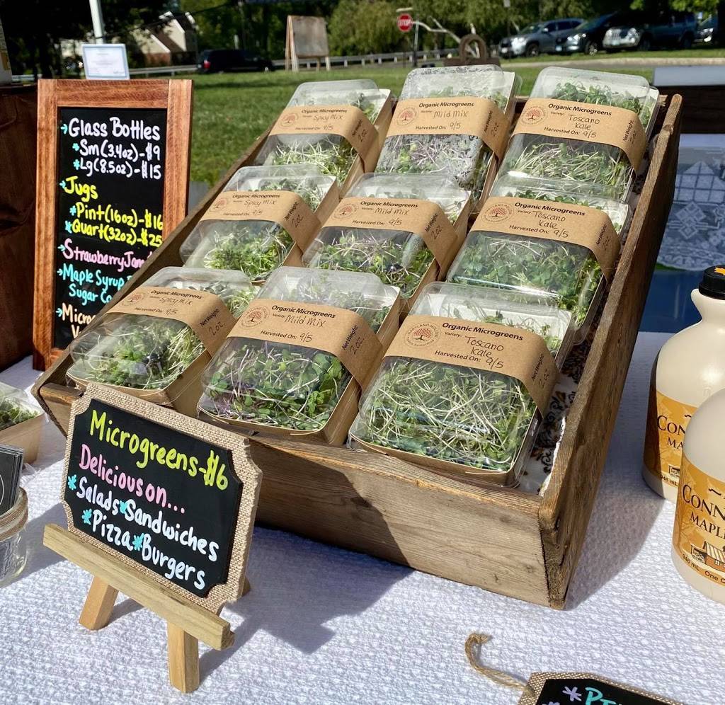 Hartland Hollow Modern Homestead | restaurant | 54 Walnut Hill Rd, East Hartland, CT 06027, USA | 8604139189 OR +1 860-413-9189