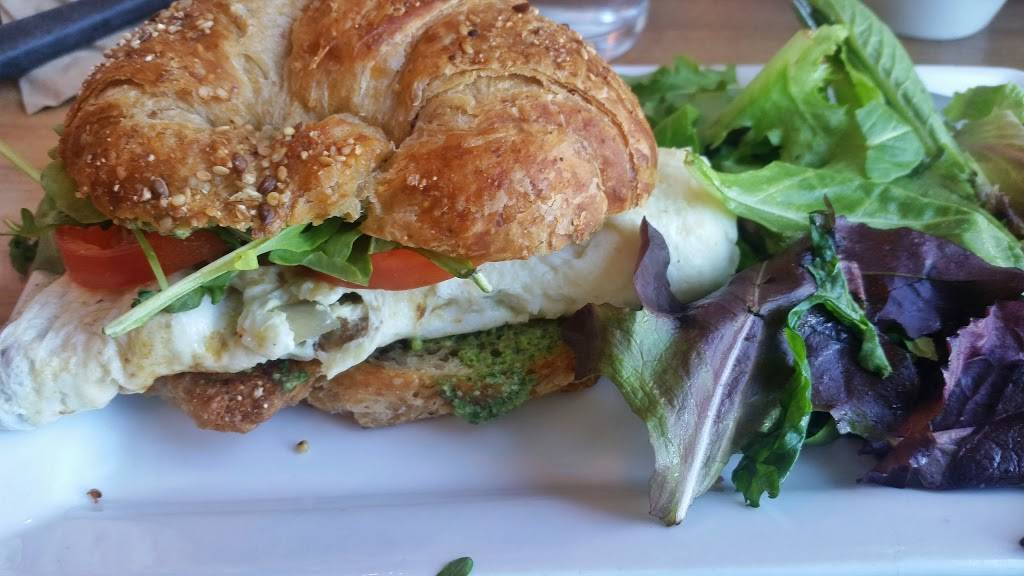 First Watch - Wesley Chapel | restaurant | 1648 Bruce B Downs Blvd, Wesley Chapel, FL 33543, USA | 8139293947 OR +1 813-929-3947