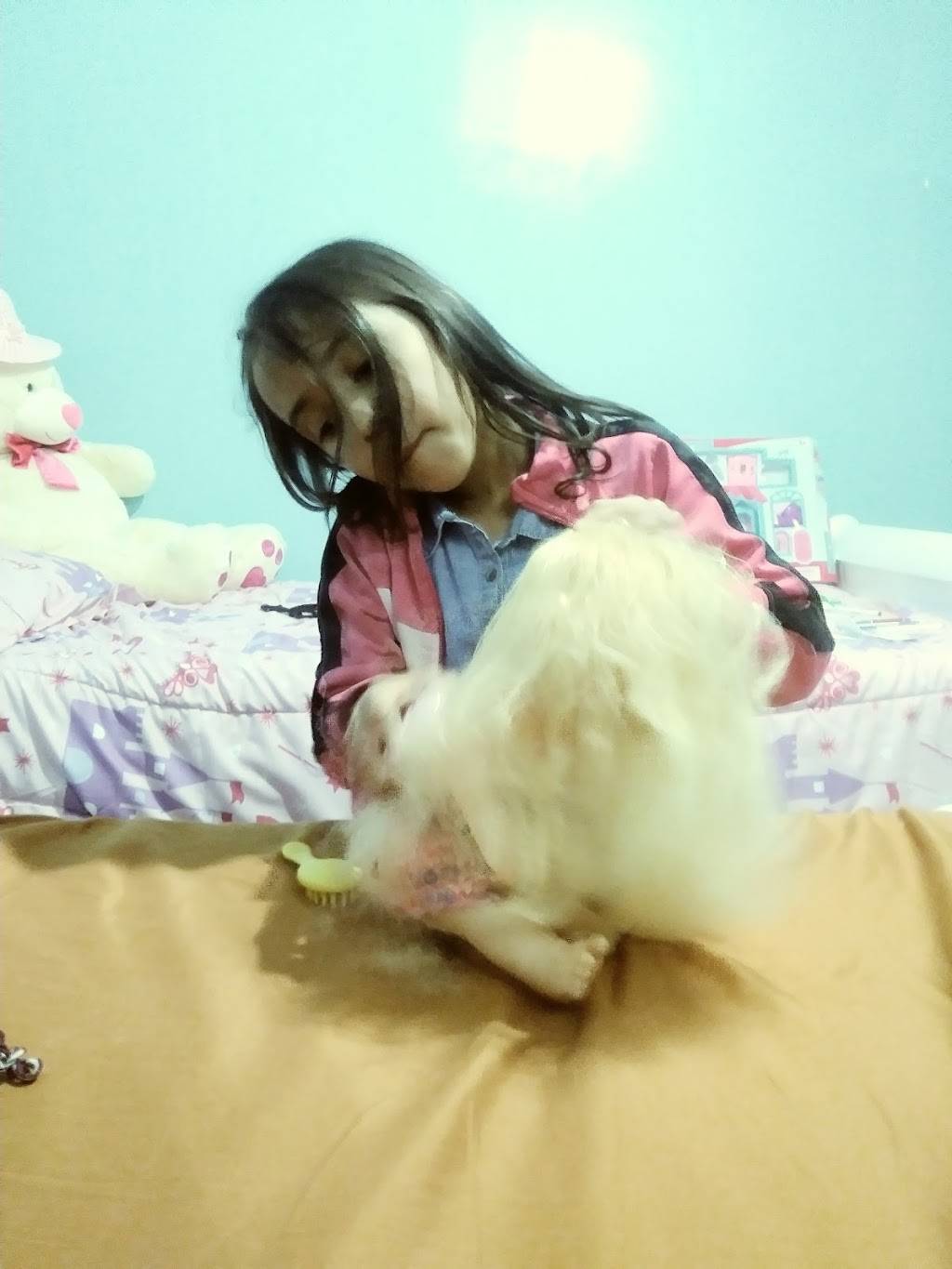 King Wok | restaurant | 63 E Kingsbridge Rd, Bronx, NY 10468, USA | 7183296121 OR +1 718-329-6121