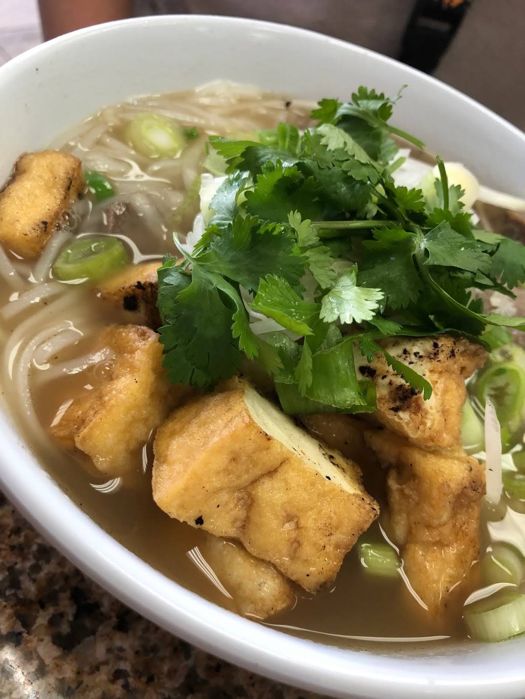 Saigon Sizzle Vietnamese Restaurant | restaurant | 870-41 Saxon Blvd, Orange City, FL 32763, USA | 3865619294 OR +1 386-561-9294