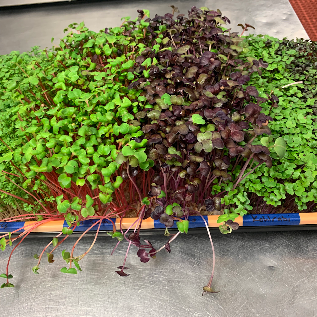 Prep Kings Cafe | restaurant | 700 Locust St SUITE A2, Des Moines, IA 50309, USA | 5154224815 OR +1 515-422-4815