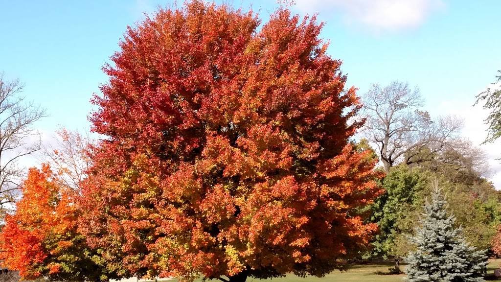 Subway Restaurants | restaurant | 104 Schricker Ave, North Judson, IN 46366, USA | 5748963100 OR +1 574-896-3100