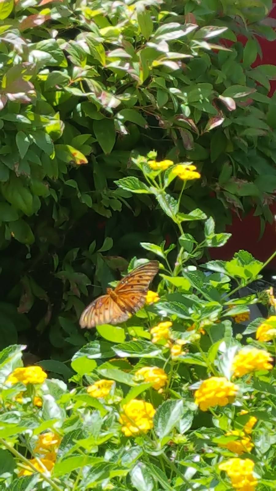 Popeyes Louisiana Kitchen | restaurant | 992 Goodman Rd W, Horn Lake, MS 38637, USA | 6623490646 OR +1 662-349-0646