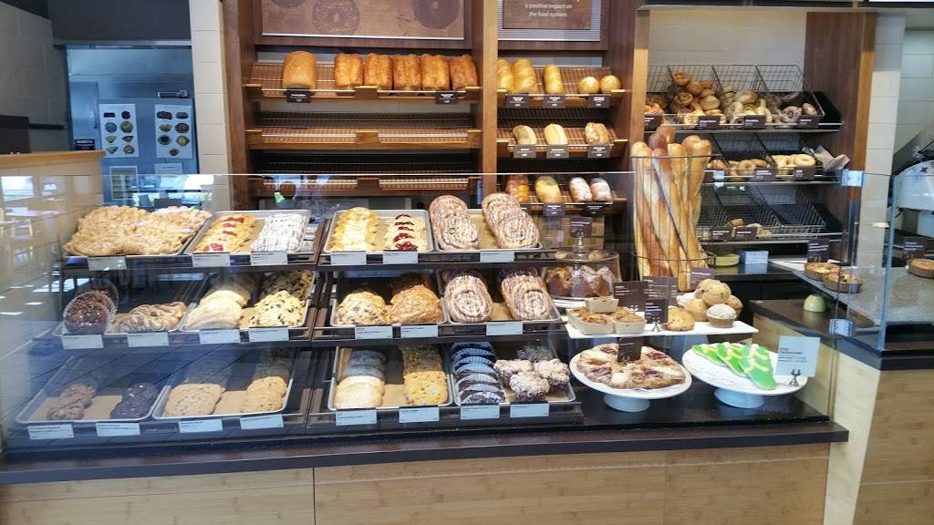 Panera Bread | bakery | 2400 W International Speedway Blvd, Daytona Beach, FL 32124, USA | 3868980340 OR +1 386-898-0340