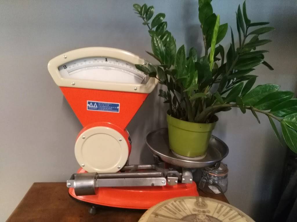 Culture Meat & Cheese | restaurant | Central Market, 2669 Larimer St, Denver, CO 80205, USA | 3032922222 OR +1 303-292-2222