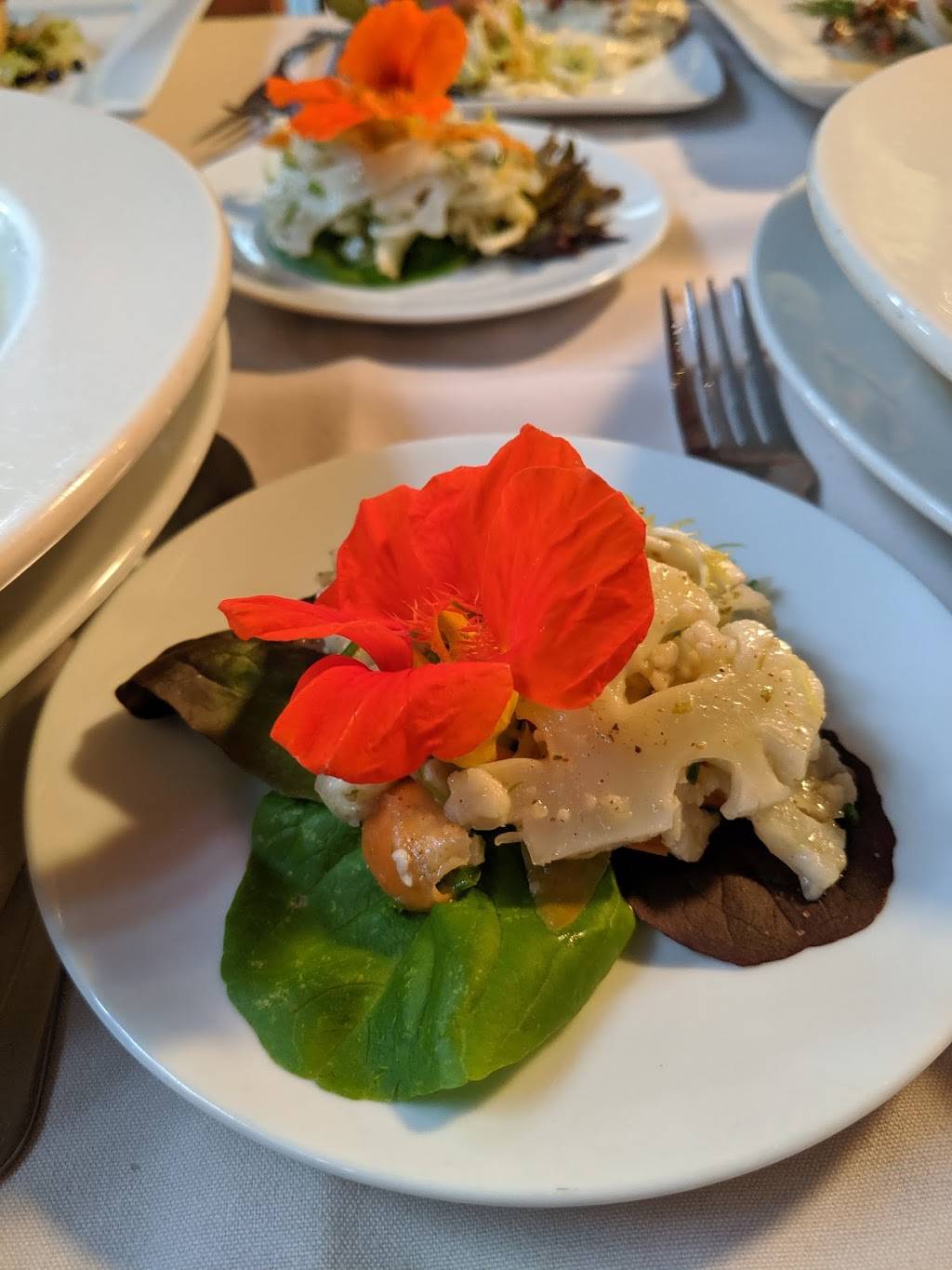 Burning Tree Restaurant | restaurant | 69 Otter Creek Dr, Otter Creek, ME 04660, USA | 2072889331 OR +1 207-288-9331