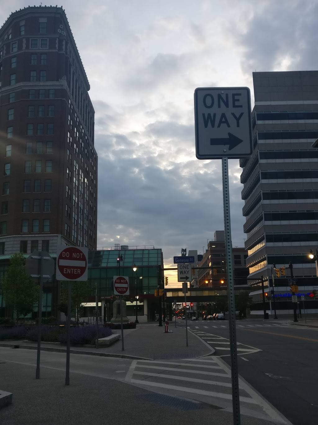 New Dragon Express | restaurant | 525 Main St, Buffalo, NY 14203, USA | 7168558888 OR +1 716-855-8888