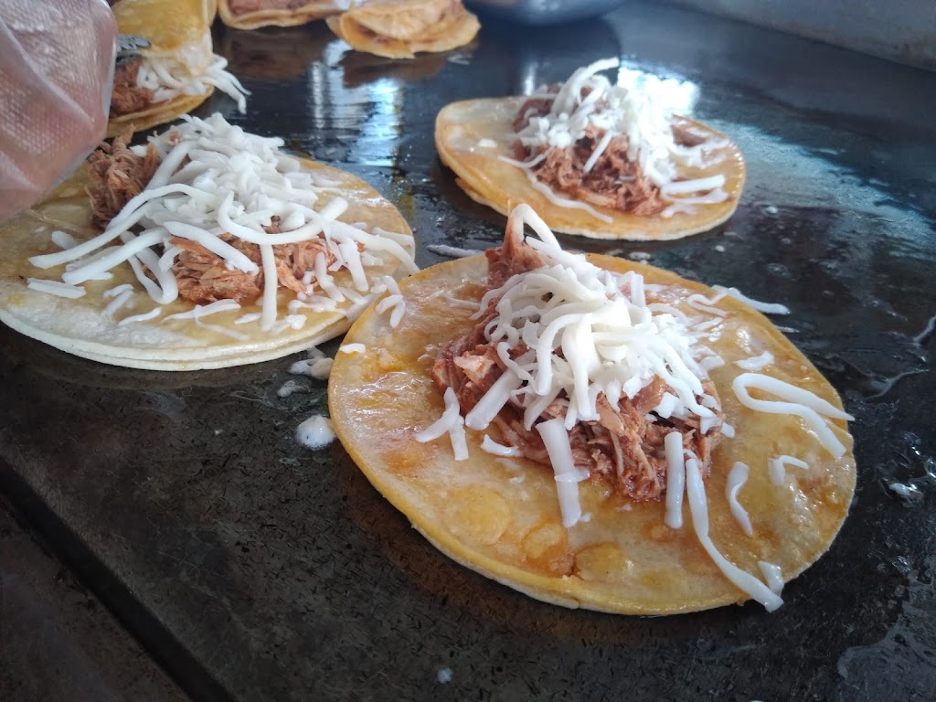 Tacos Estephanie | restaurant | 5225 E Tropicana Ave, Las Vegas, NV 89122, USA | 7027522482 OR +1 702-752-2482