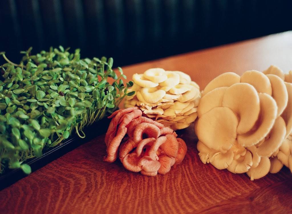 Oliver Royale | restaurant | 5 Market Square, Knoxville, TN 37902, USA | 8656226434 OR +1 865-622-6434