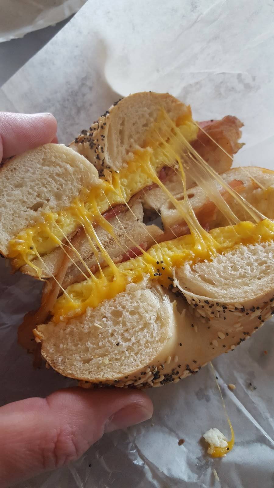 Big Daddy Bagels | bakery | 489 US-287, Lafayette, CO 80026, USA | 3036655918 OR +1 303-665-5918