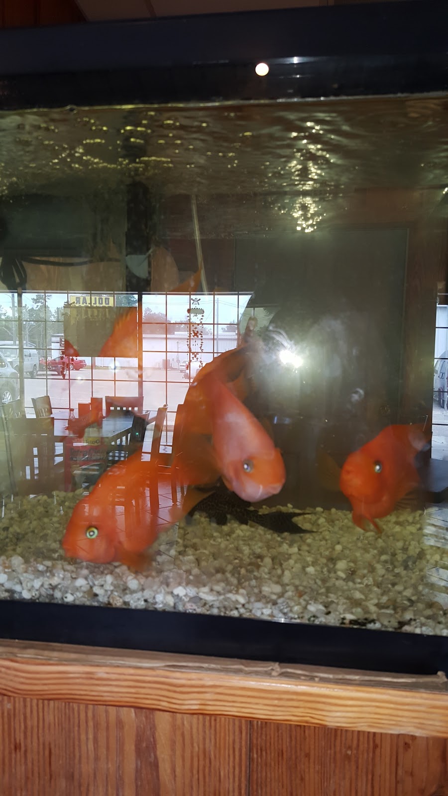 Golden Dragon | restaurant | 237 FL-71, Wewahitchka, FL 32465, USA | 8506393999 OR +1 850-639-3999