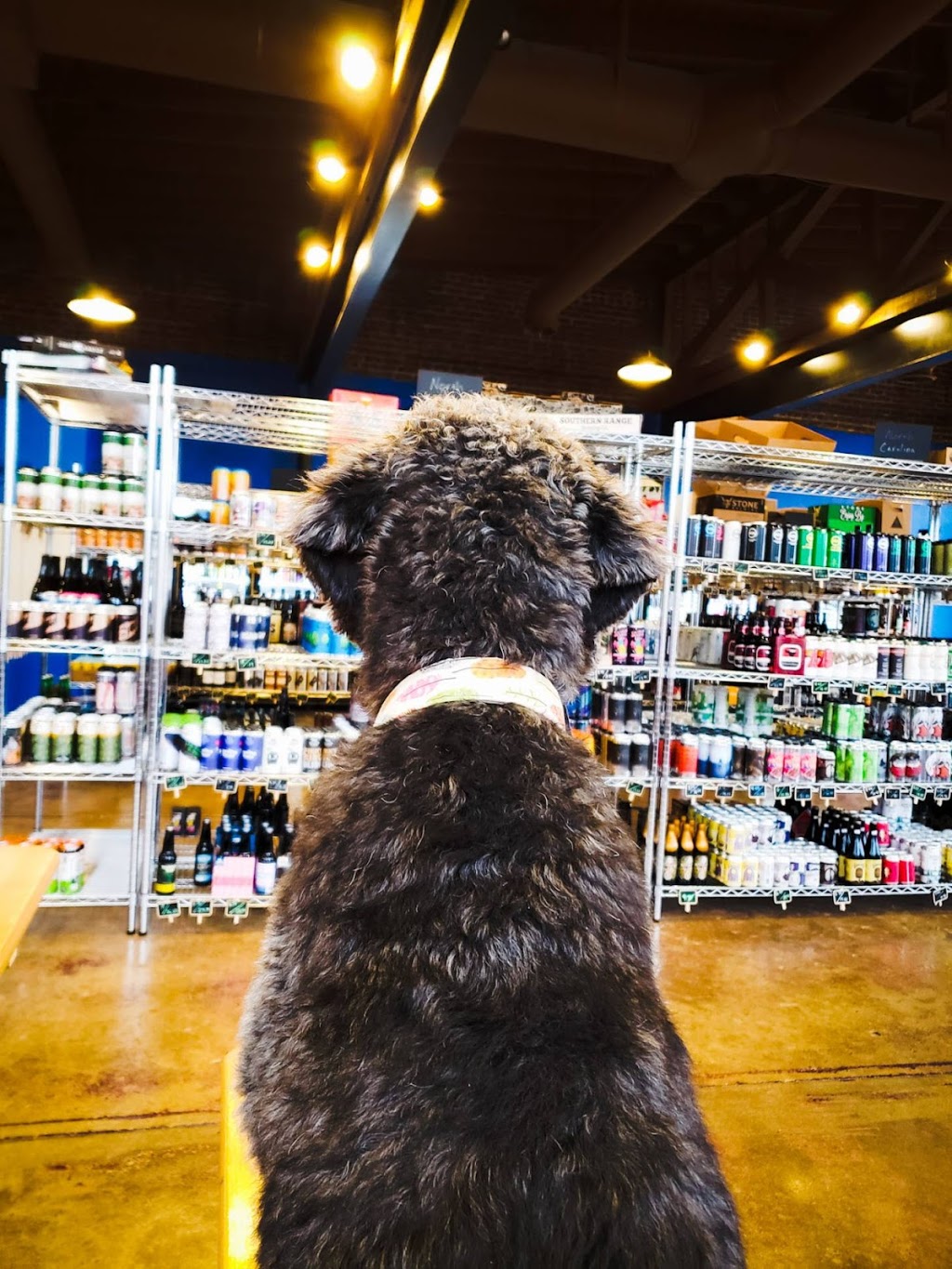 The Blue Door Bottleshop & Beer Hall | restaurant | 146 3rd Ave E, Hendersonville, NC 28792, USA | 8282904191 OR +1 828-290-4191