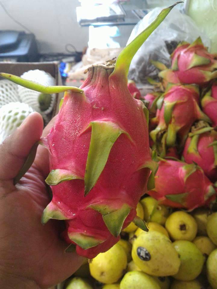 Melendez Imports | restaurant | 8938 Old 31, Berrien Springs, MI 49103, USA | 2694733477 OR +1 269-473-3477