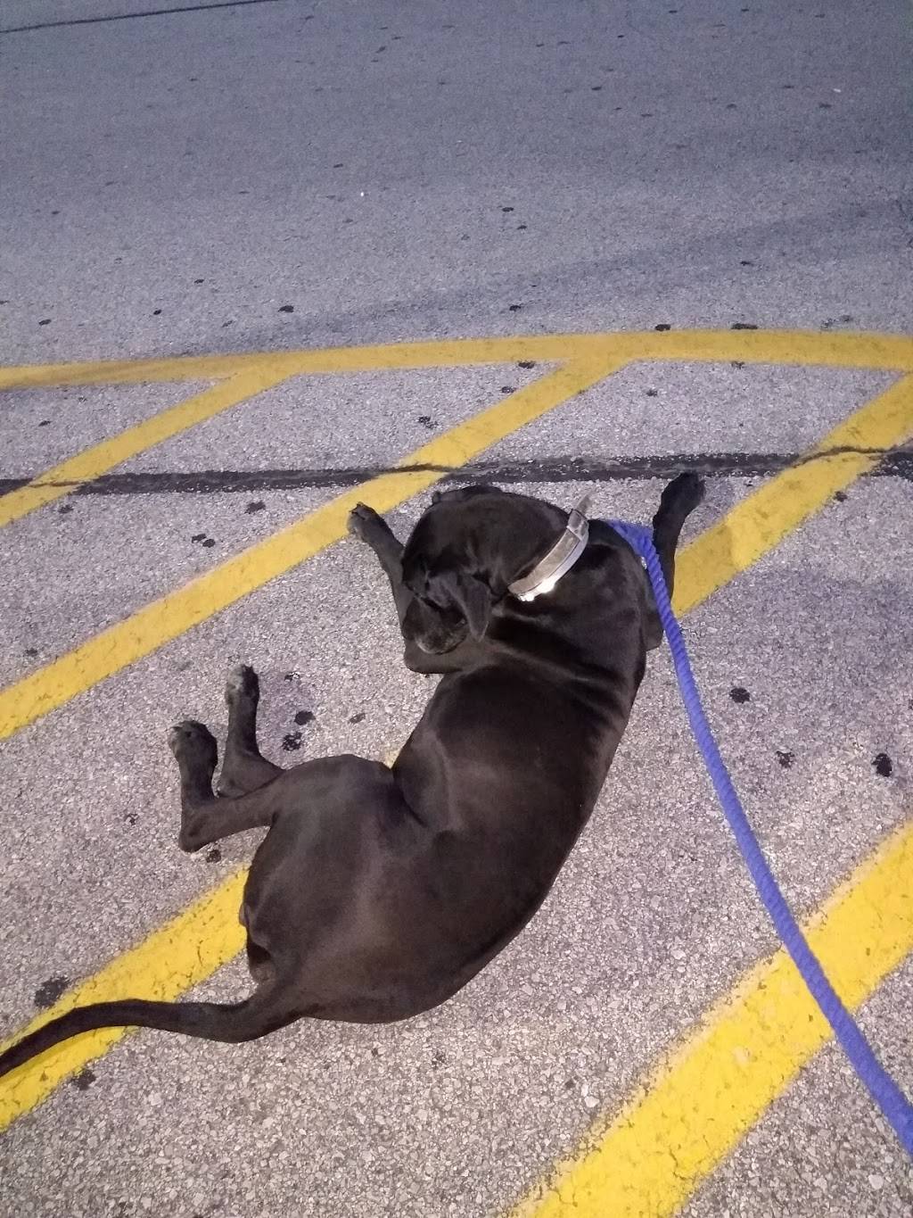 McDonalds | cafe | 1106 N Gateway Ave, Rockwood, TN 37854, USA | 8653540002 OR +1 865-354-0002