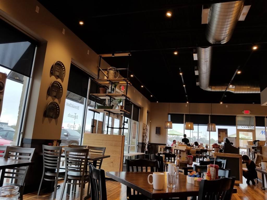 First Watch - Fairfield Town Center | restaurant | 28902 Hwy 290, Ste. J10, Cypress, TX 77433, USA | 2817428002 OR +1 281-742-8002