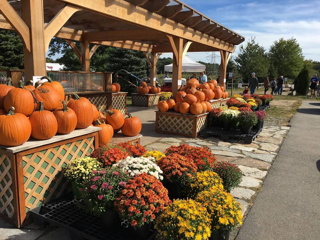 Wards Berry Farm | bakery | 614 S Main St, Sharon, MA 02067, USA | 7817843600 OR +1 781-784-3600