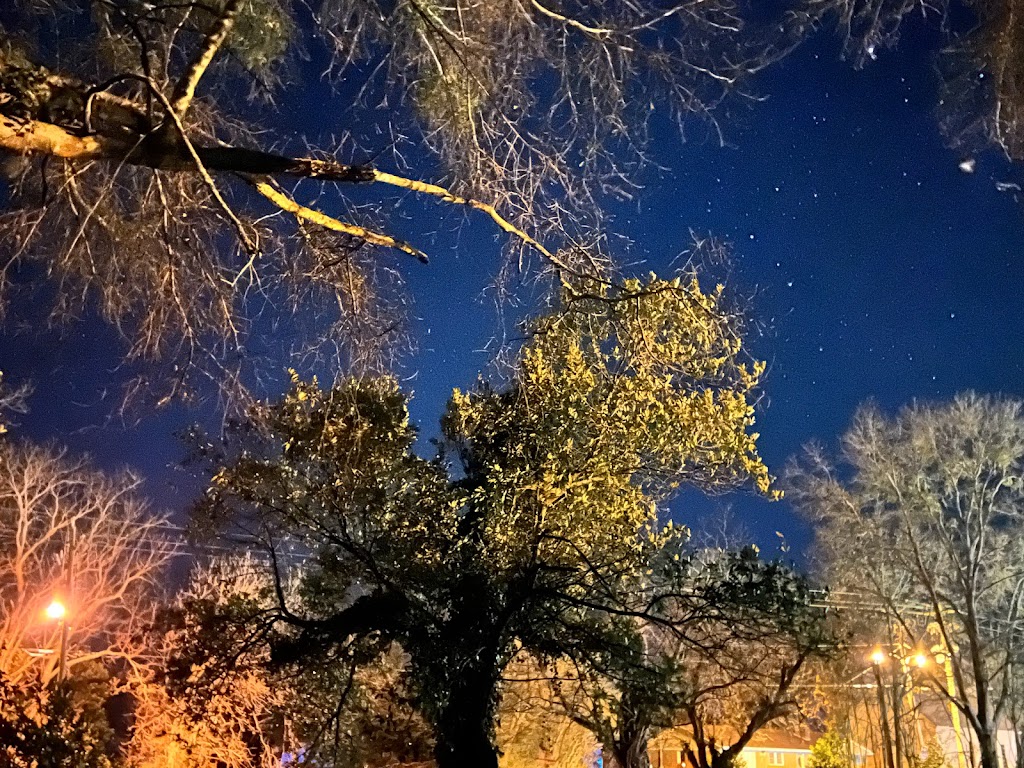 The Bowers House | restaurant | 100 Depot St, Canon, GA 30520, USA | 9548888948 OR +1 954-888-8948