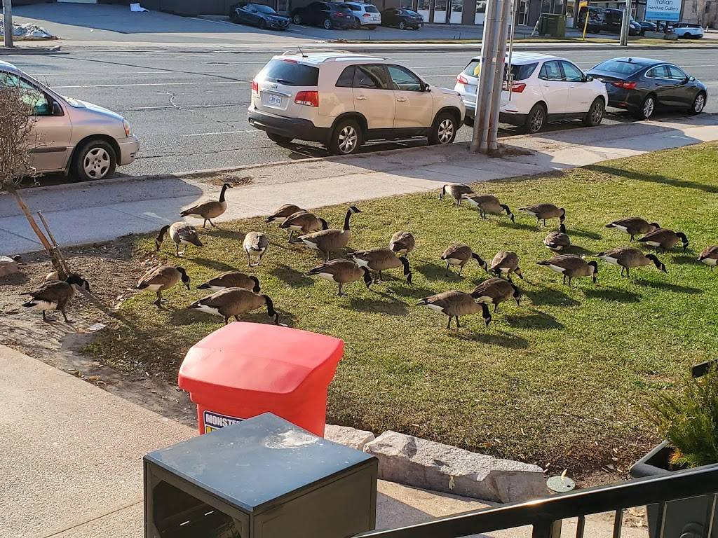 Delta Bingo & Gaming | restaurant | 1868 Wilson Ave, North York, ON M9M 1A5, Canada | 4167471888 OR +1 416-747-1888