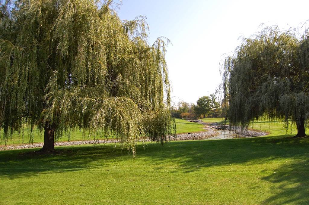 Bluffton Golf Club | restaurant | 8575 N Dixie Hwy, Bluffton, OH 45817, USA | 4193586230 OR +1 419-358-6230