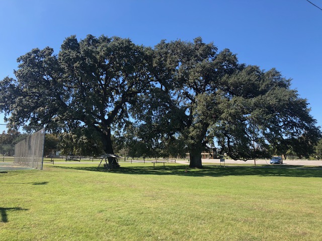 Flying L Ranch Resort | restaurant | 675 Flying L Dr, Bandera, TX 78003, USA | 8307967745 OR +1 830-796-7745