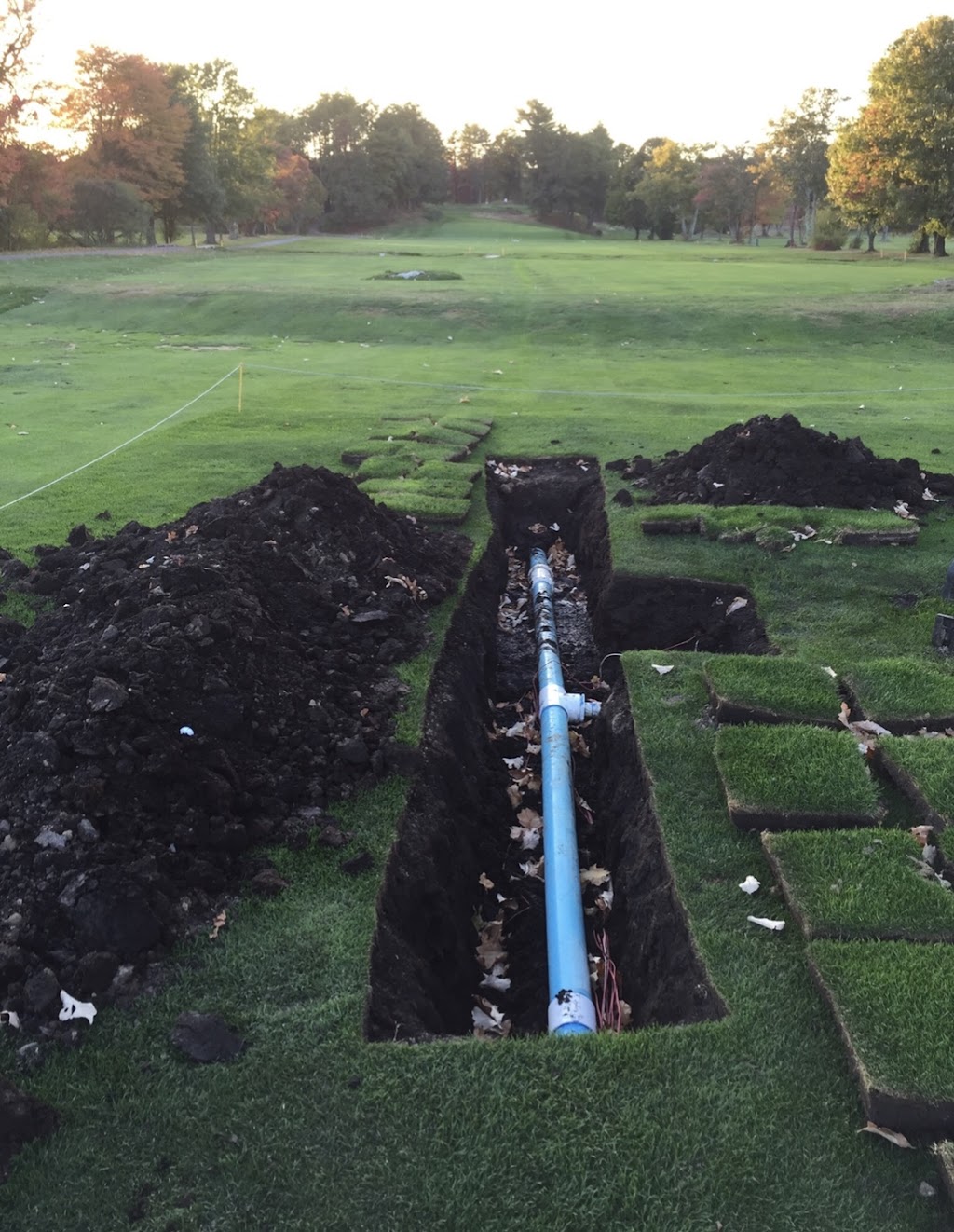 Robert T. Lynch Municipal Golf Course | restaurant | 1281 W Roxbury Pkwy, Chestnut Hill, MA 02467, USA | 6177302078 OR +1 617-730-2078