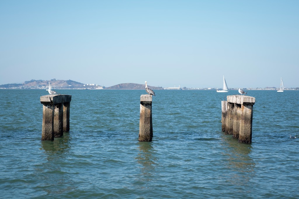 Pacific Pearl Charters | restaurant | 3310 Powell St, Emeryville, CA 94608, USA | 5106523403 OR +1 510-652-3403