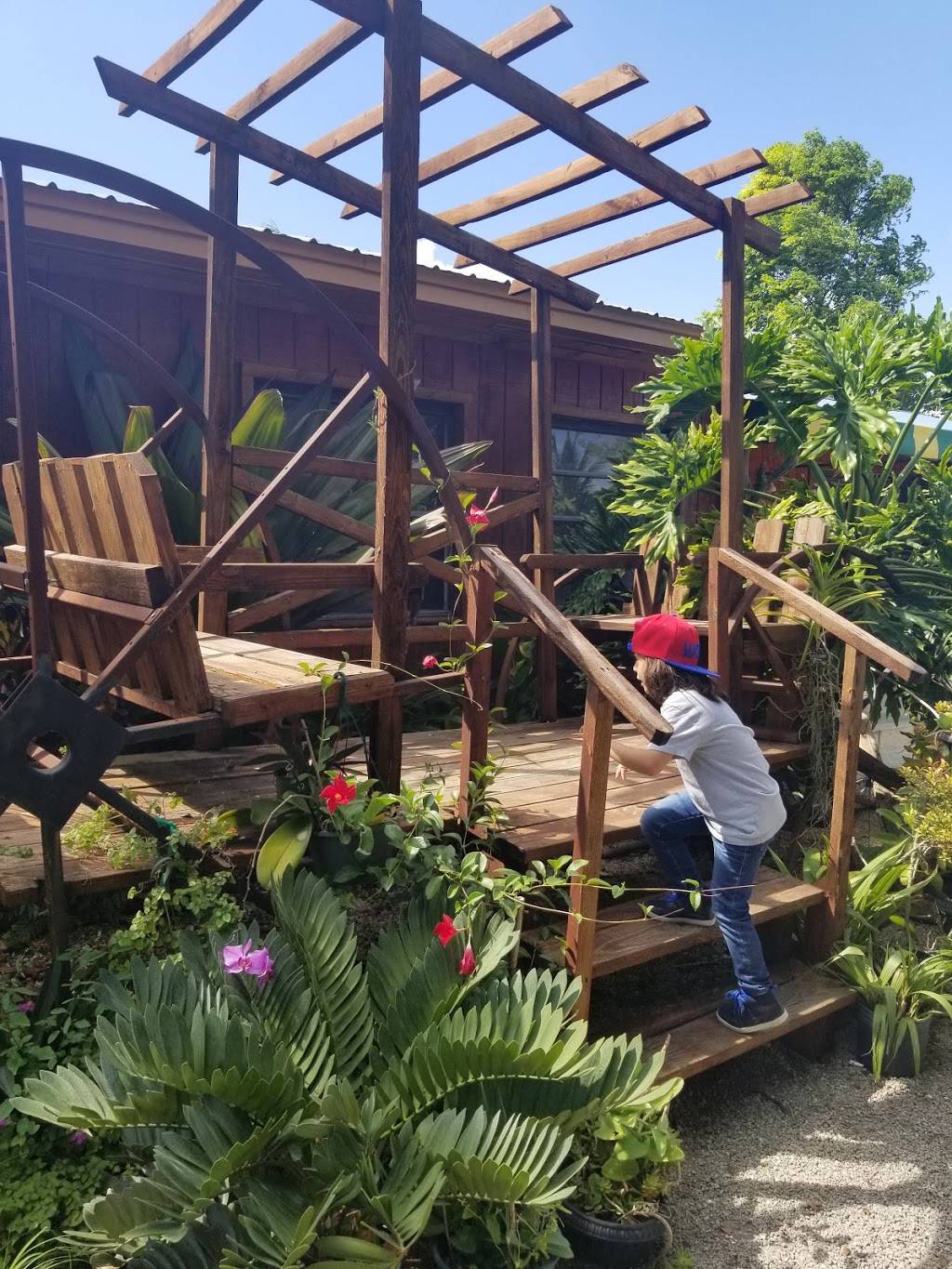 RANCHO VIEJO | restaurant | 26030 SW 177th Ave, Homestead, FL 33031, USA | 7863802840 OR +1 786-380-2840